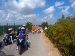 XIX Concentracion - 2012